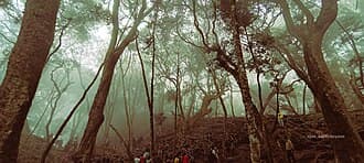 Guna Caves